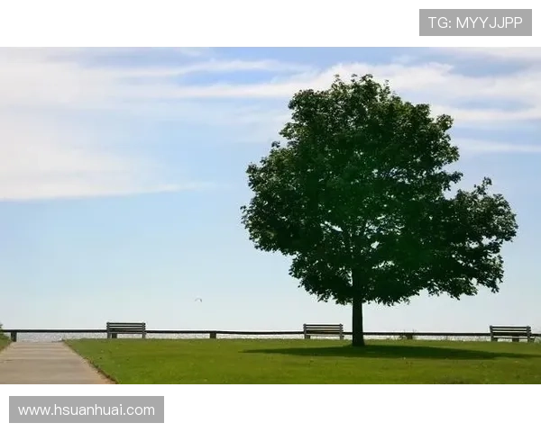 字母哥初入联盟语言考验与成长